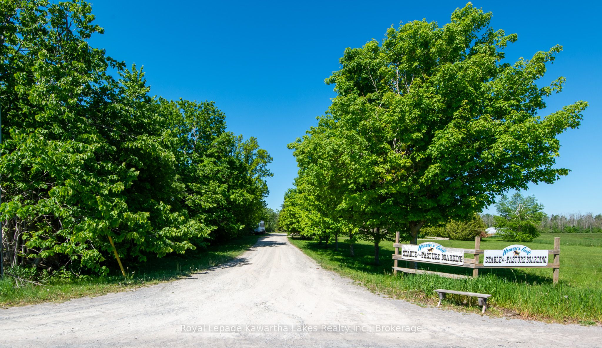 Additional image 3 of 2435 Elm Tree Road, Kawartha Lakes, ON, K0M 1E0