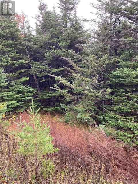 94-96 Highway East Highway East, Victoria, NL, A0A4G0