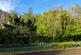 Additional image 7 of Thorntonhall Woodland, Waterfoot Road, Thorntonhall, South Lanarkshire, G74