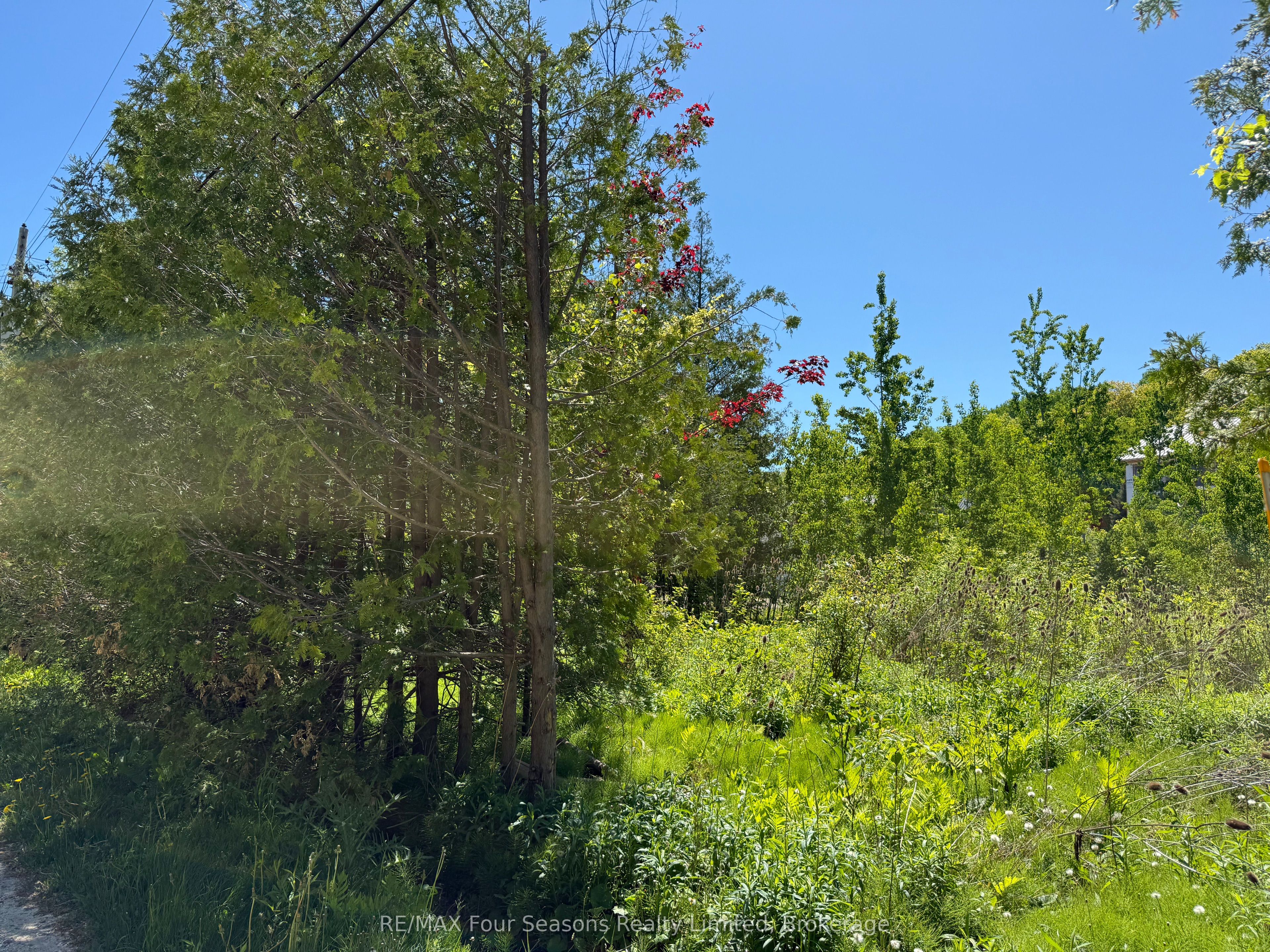 122 James Street, Blue Mountains, ON, L9Y 0T6