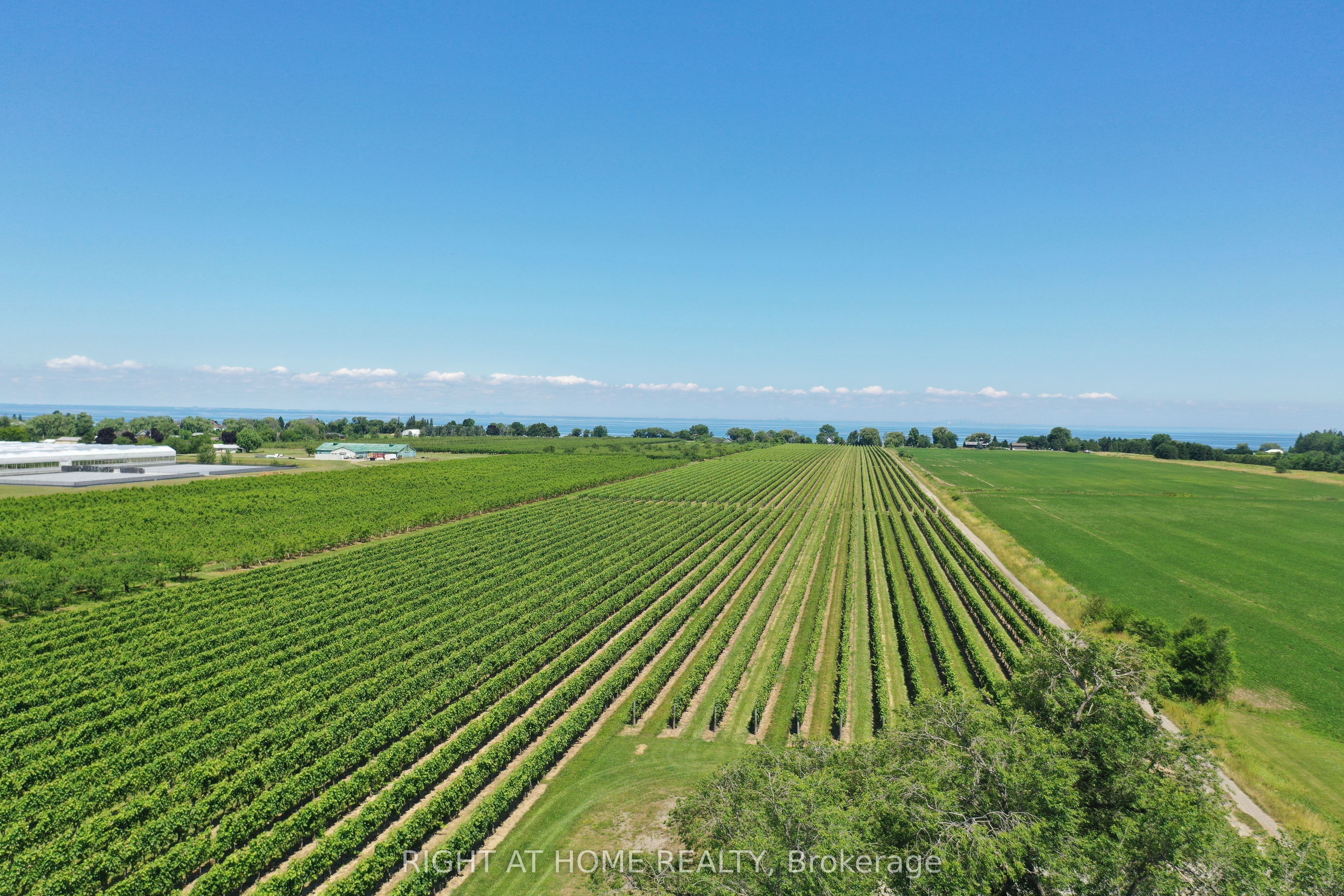 Additional image 6 of 3705 North Service Road, Lincoln, ON, L3J 1J3