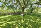Additional image 28 of 12.86 Acres, Horrabridge, Yelverton