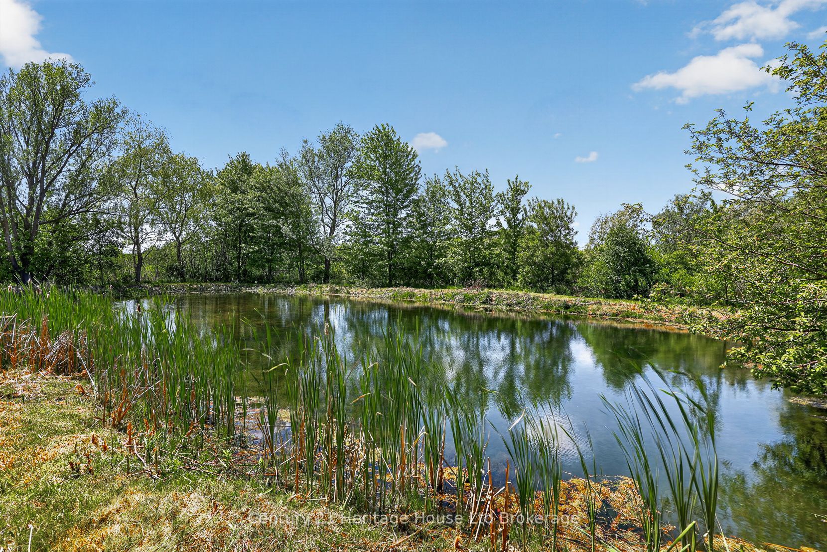 257 Bateman Line, Brant, ON, N0E 1K0 photo 3