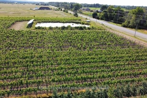 Additional image 8 of 3920 Greenlane Road, Lincoln, ON, L0R 1B1