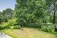 Birch Grove, Pyrford, GU22 photo 4