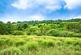 Additional image 39 of Ffarmers, Carmarthenshire SA19