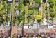 Additional image 29 of Turpins Lane, Woodford Green IG8