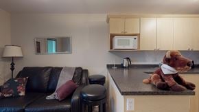 217 8528 Manning Avenue, Fort McMurray, AB, T9H 5G2 photo 4