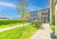 Hindhead Knoll, Walnut Tree, MK7