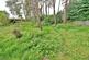 Additional image 34 of Ferndown, BH22