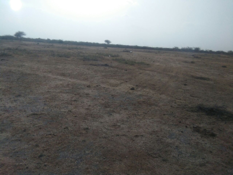 Dholka, Ahmedabad photo 2