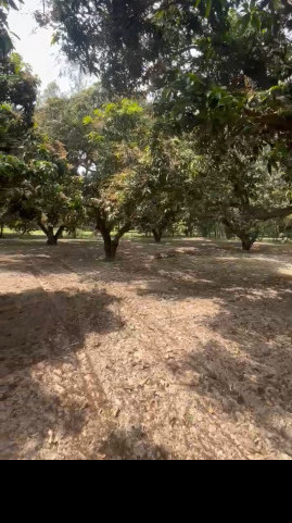 Additional image 2 of Biharigarh, Dehradun