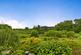 Pine Lodge, Ford, by Lochgilphead, Argyll photo 2