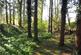Additional image 24 of The Hendre, Monmouth, Monmouthshire, NP25