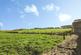Additional image 16 of East Street, Templecombe, Somerset, BA8