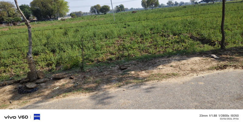 Fatehabad Road, Agra photo 2