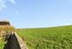 Additional image 17 of East Street, Templecombe, Somerset, BA8
