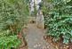 Additional image 25 of Aldridge Road, Ferndown, BH22
