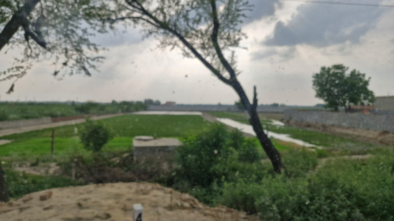 Dasna, Ghaziabad photo 2
