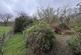 Additional image 23 of Talybont, Bangor, Gwynedd, LL57