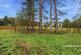 Additional image 22 of Copthall Green, Waltham Abbey, EN9