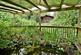 Additional image 33 of Ferndown, BH22