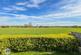 Additional image 4 of Glazebrook Lane, Glazebrook, WA3