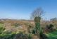 Additional image 32 of Hill Gate Walk,  Shepherds Hill, London N6
