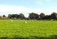 Additional image 37 of Coldharbour Road, Upper Dicker, Hailsham, East Sussex, BN27