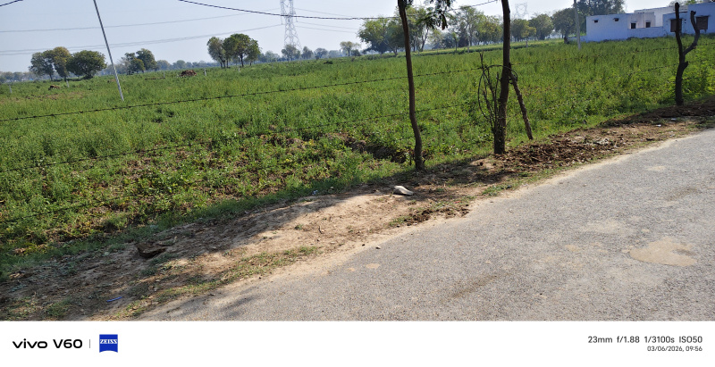 Fatehabad Road, Agra photo 3