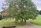 Additional image 11 of Bridle Road, Kings Acre, Hereford