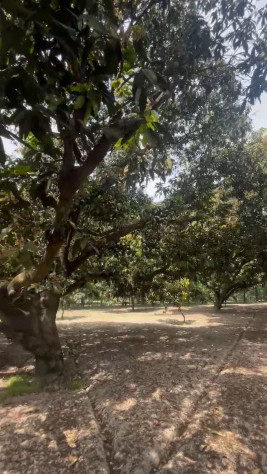 Additional image 3 of Biharigarh, Dehradun