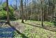 Additional image 31 of Sutton Spring Wood, Temple Normanton, Chesterfield, S42 5DT
