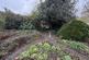 Additional image 22 of Talybont, Bangor, Gwynedd, LL57