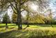 Additional image 17 of Ellerton at The Cedars @ Ledsham Garden Village Ledsham Road, Ledsham CH66