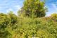 Additional image 17 of Firs Avenue, Alfreton DE55