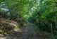 Additional image 26 of Road Past Bradleigh House, Tiverton EX16