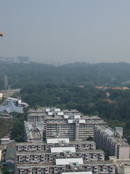 Additional image 14 of 90 Tanglin Halt Road