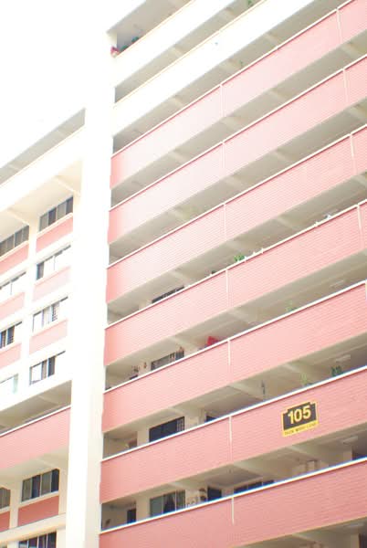 Additional image 6 of 105 Teck Whye Lane
