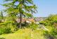 Combe Batch, Wedmore photo 2