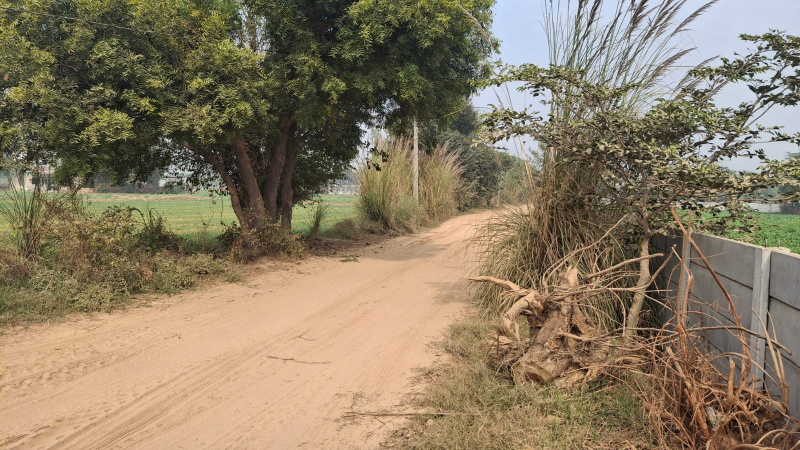 NH 8, Gurgaon photo 3