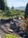 Additional image 40 of Old Mill Farmhouse, Fron Oleu Farm, Trawsfynydd, Blaenau Ffestiniog
