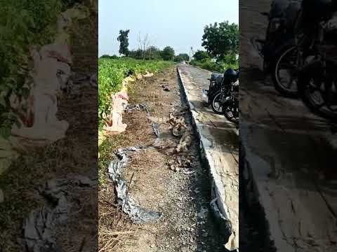 Mouda, Nagpur