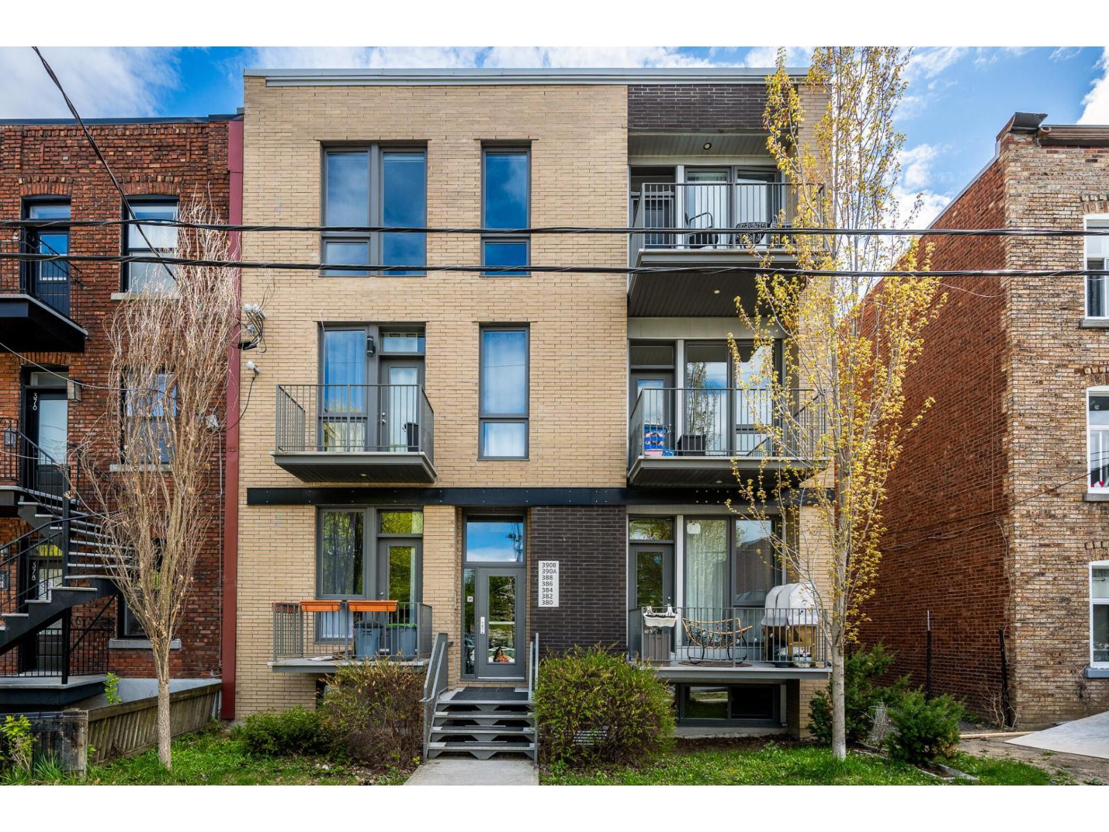 384 Rue Willibrord