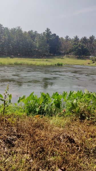 Mahalingapuram, Pollachi, Coimbatore