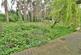 Additional image 35 of Ferndown, BH22