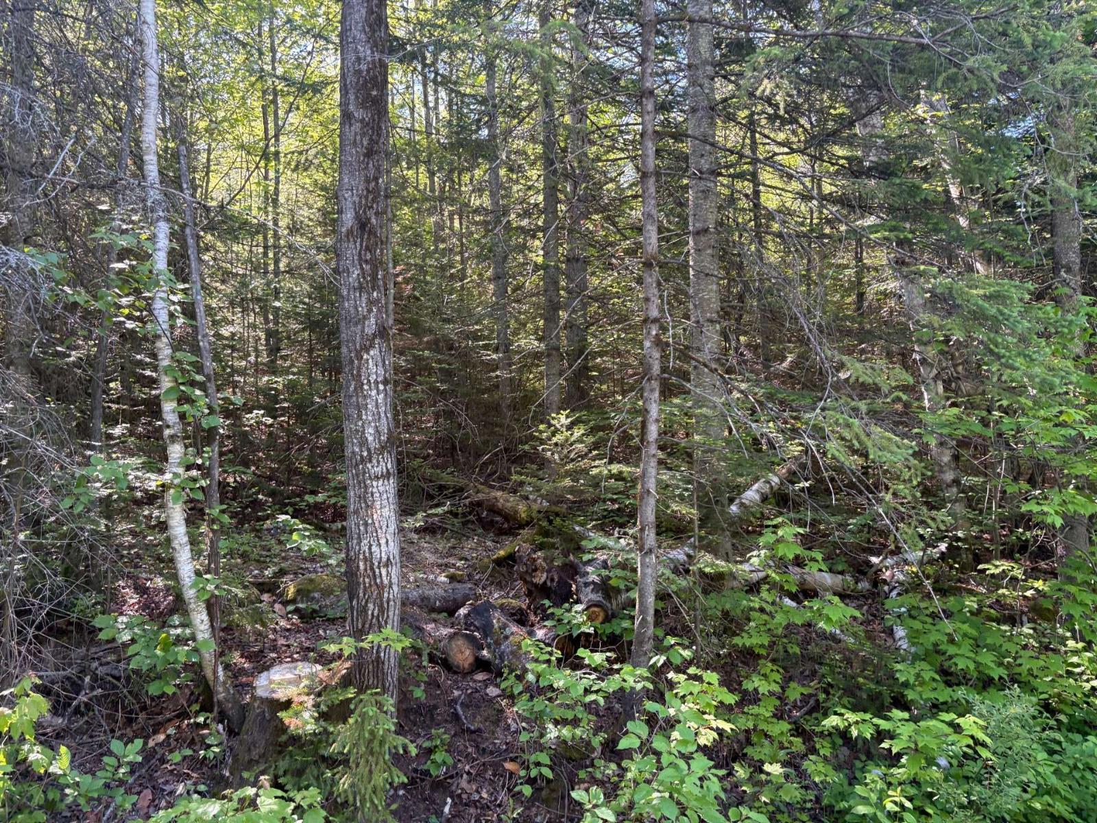 Ch. du Lac-Corbeau