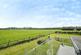 Additional image 10 of Mansell Lane, Selsted, Dover, Kent, CT15