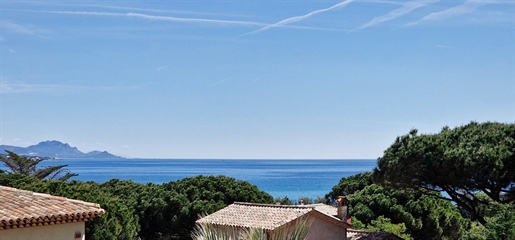 Sainte-Maxime (Var)