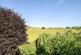 Additional image 2 of Stradbrook, Bratton, BA13